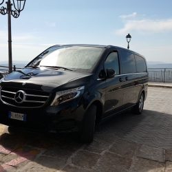 V220 1